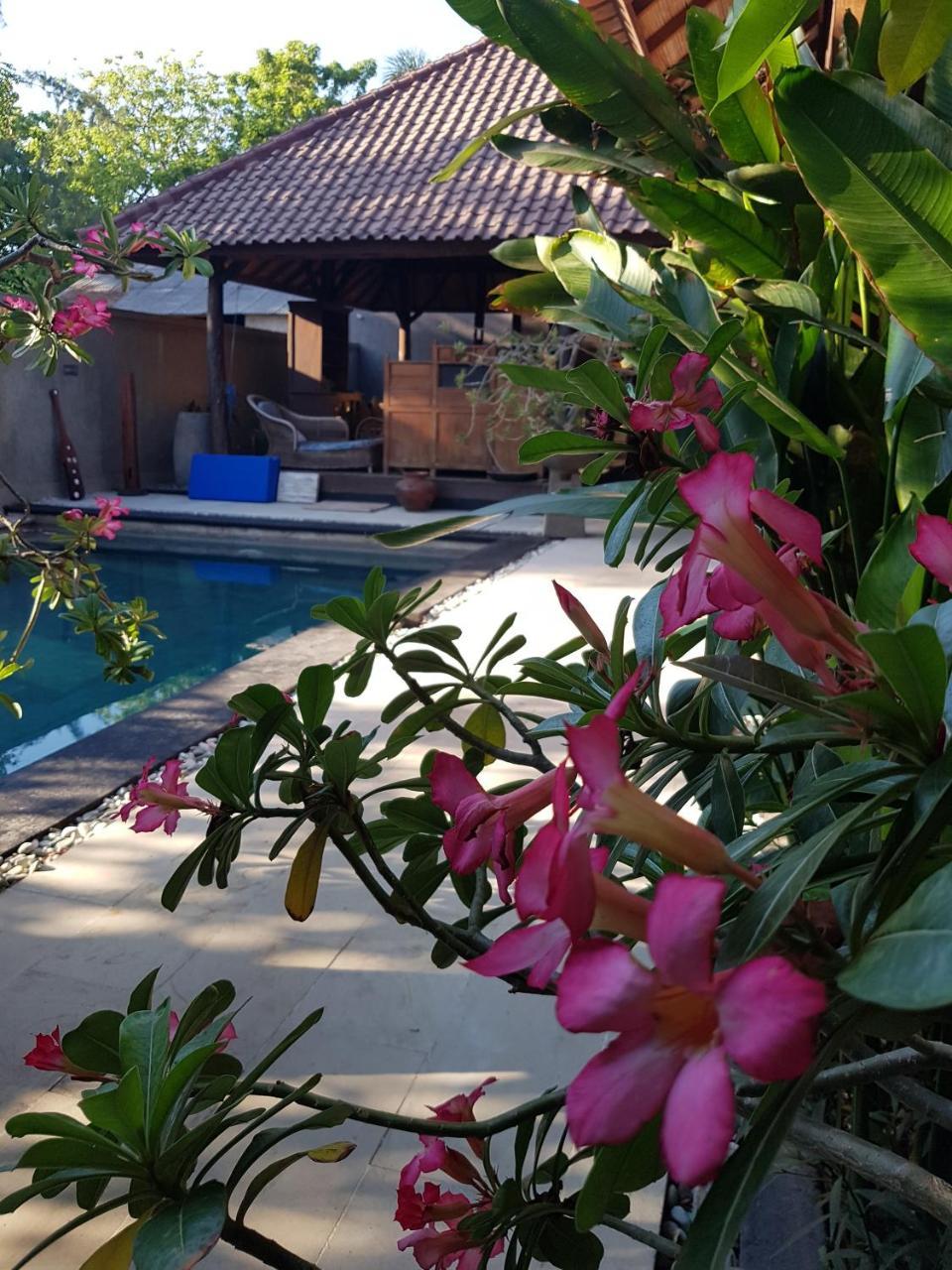 Gili Exotic Villa Gili Trawangan Dış mekan fotoğraf