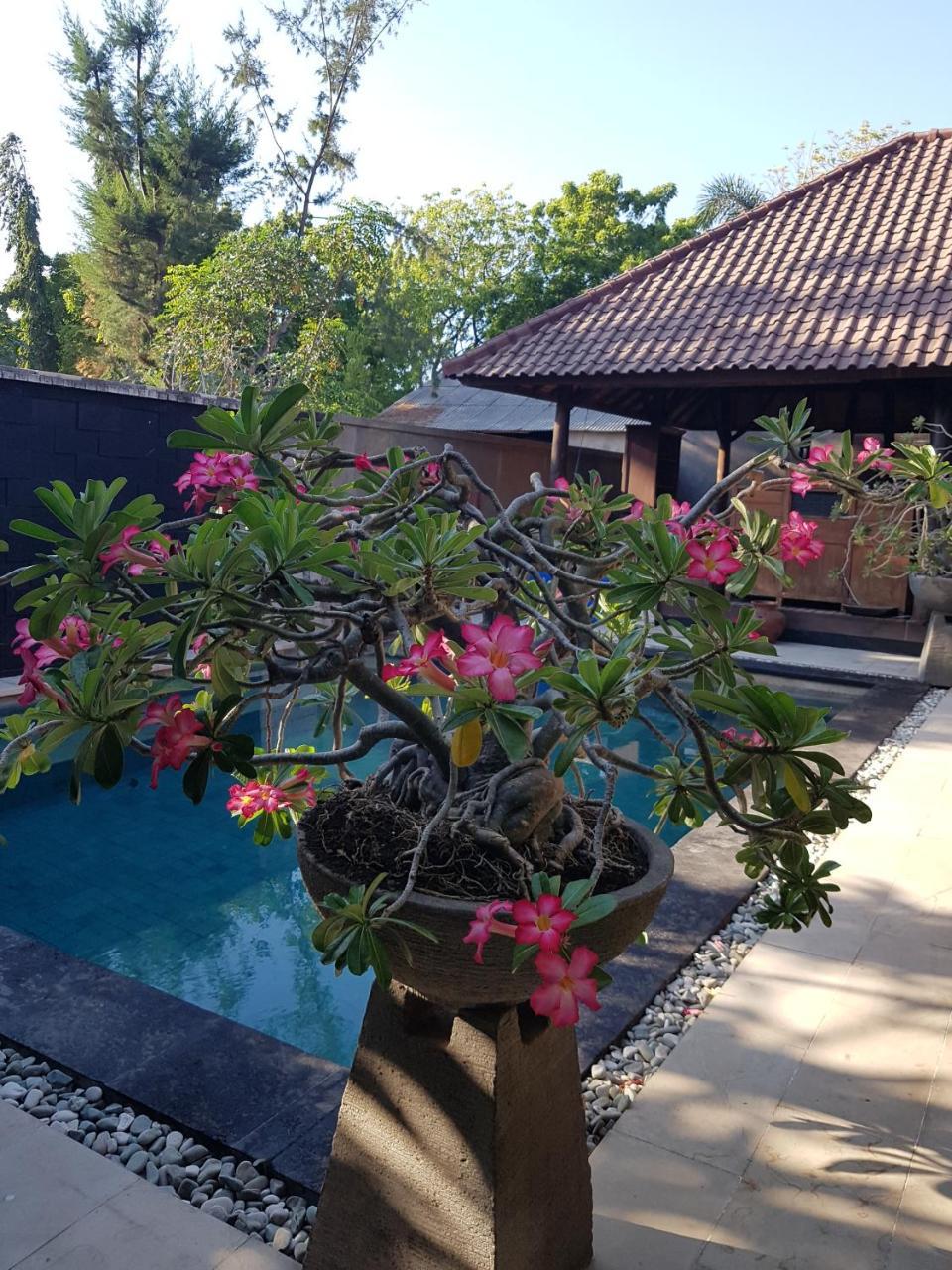 Gili Exotic Villa Gili Trawangan Dış mekan fotoğraf